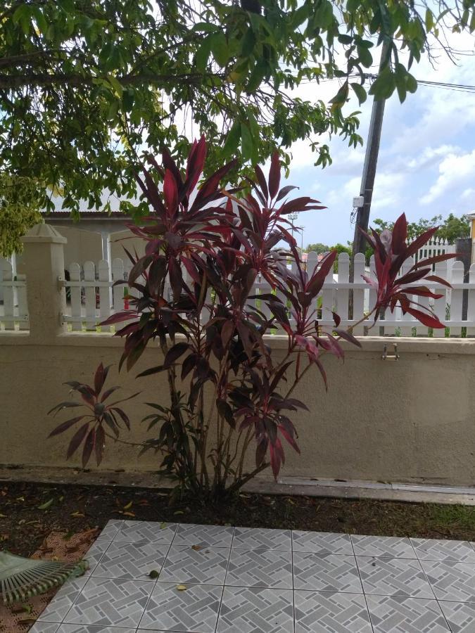 Studio Sympa Port-Louis Exterior foto