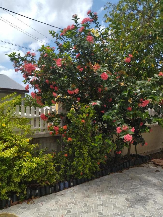 Studio Sympa Port-Louis Exterior foto